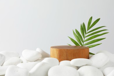 Photo of Presentation for product. Wooden podium and green twig on white pebbles. Space for text