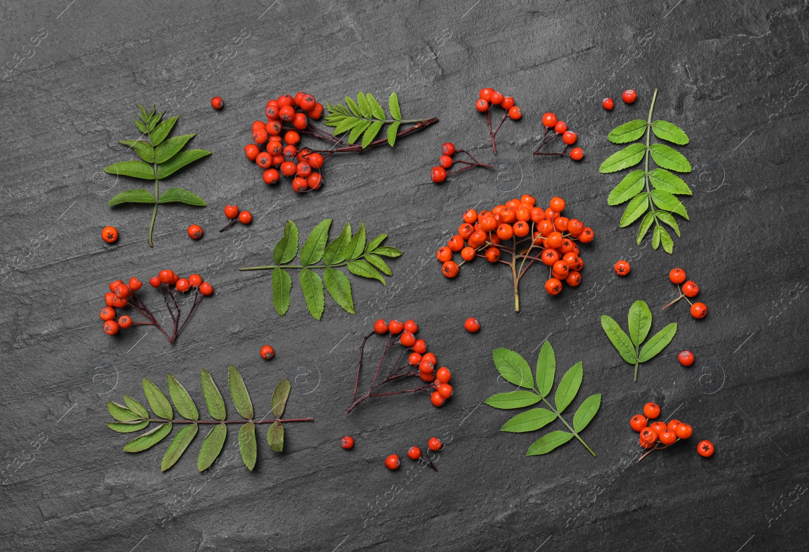 Photo of Fresh ripe rowan berries and green leaves on black table, flat lay