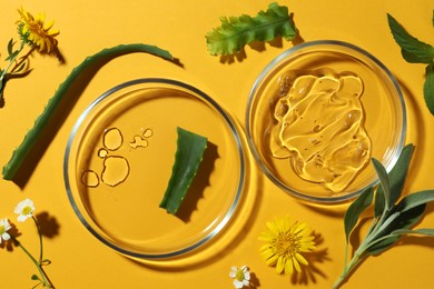 Flat lay composition with Petri dishes and plants on yellow background