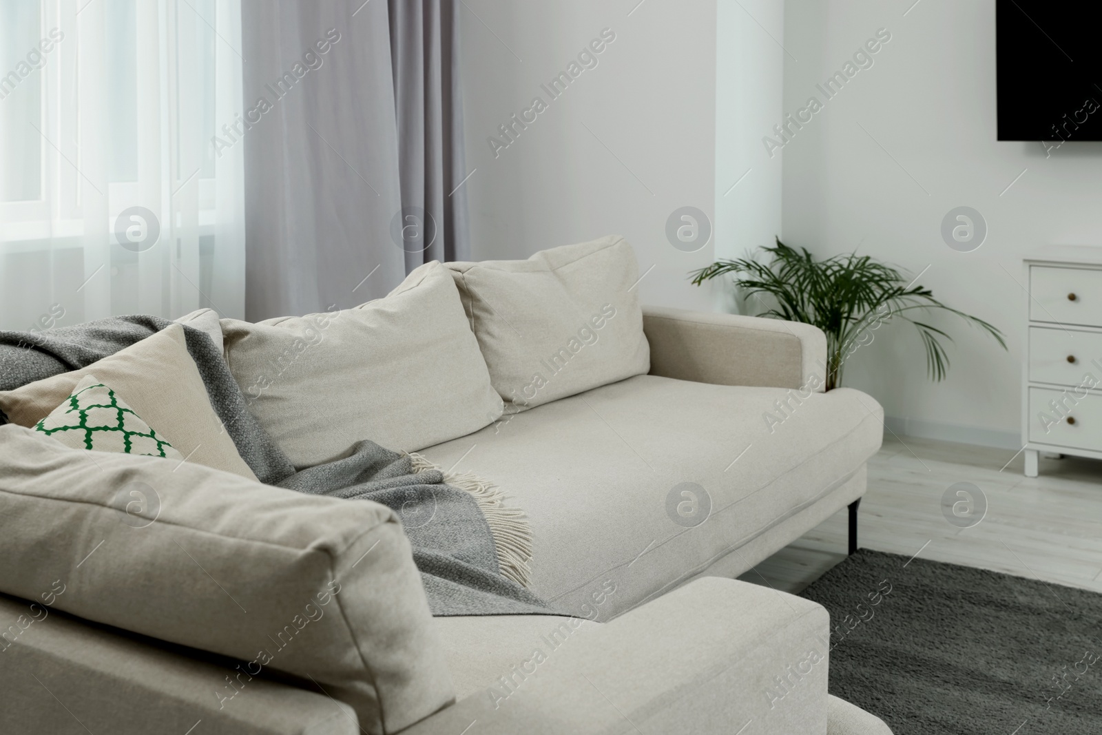 Photo of Stylish living room interior with cozy sofa and houseplant