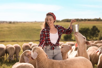 Smiling woman feeding sheep on pasture at farm