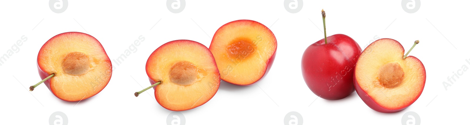 Image of Set with delicious ripe cherry plums on white background. Banner design