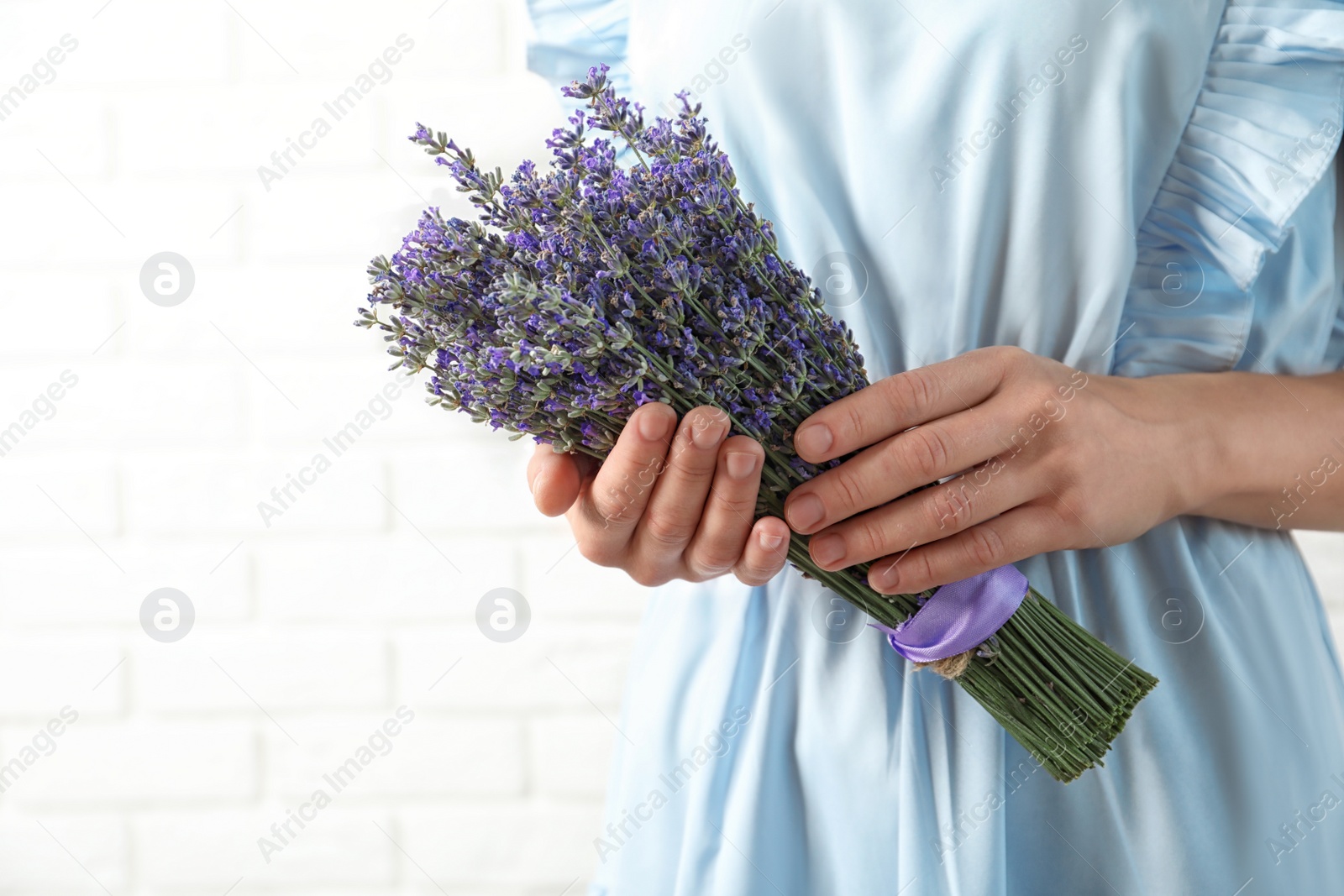 Photo of Woman holding fresh lavender flowers against white brick wall, closeup. Space for text