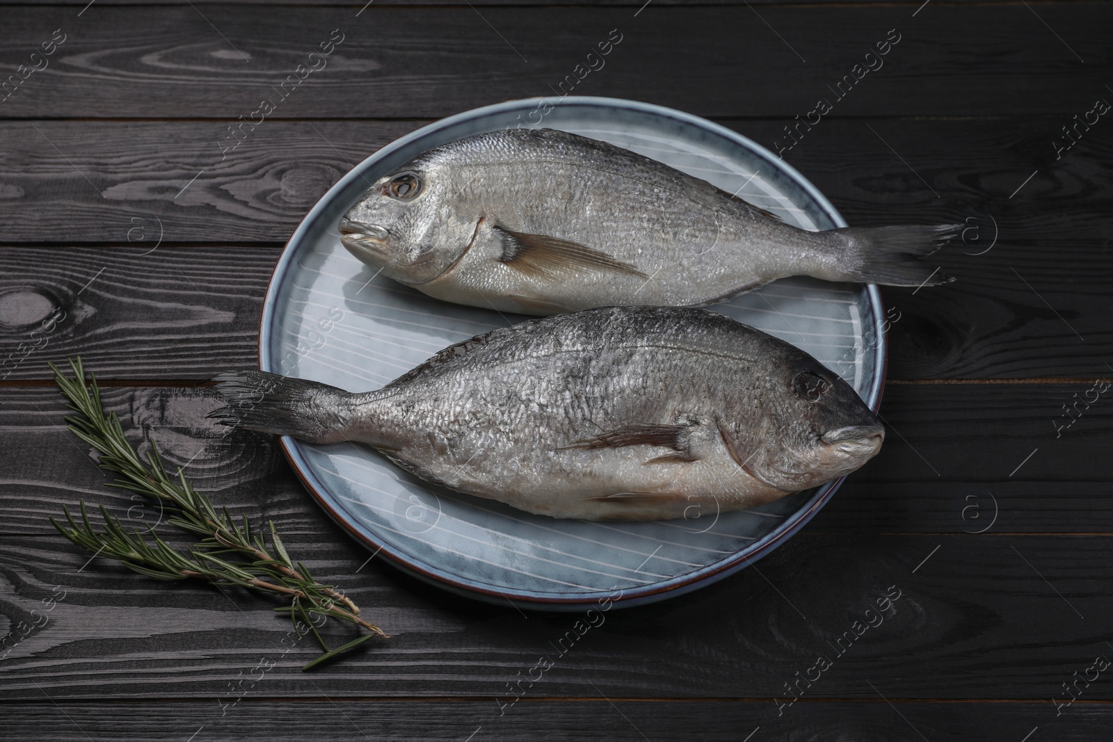 Photo of Fresh raw dorado fish and rosemary on black wooden table