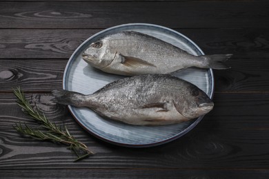 Fresh raw dorado fish and rosemary on black wooden table