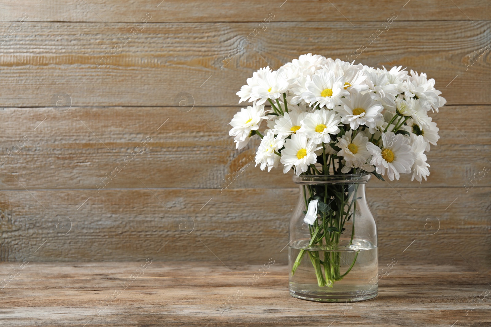 Photo of Beautiful white chrysanthemum flowers in glass vase on table. Space for text
