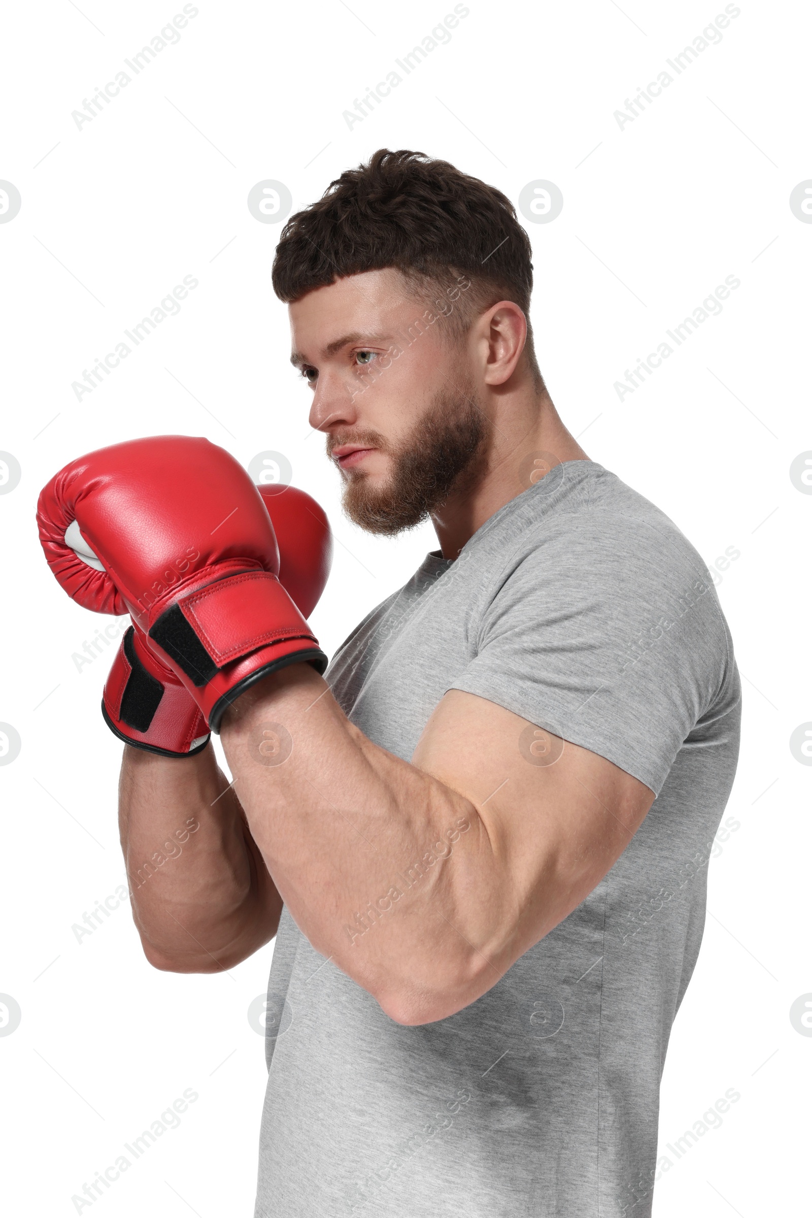 Photo of Man in boxing gloves on white background