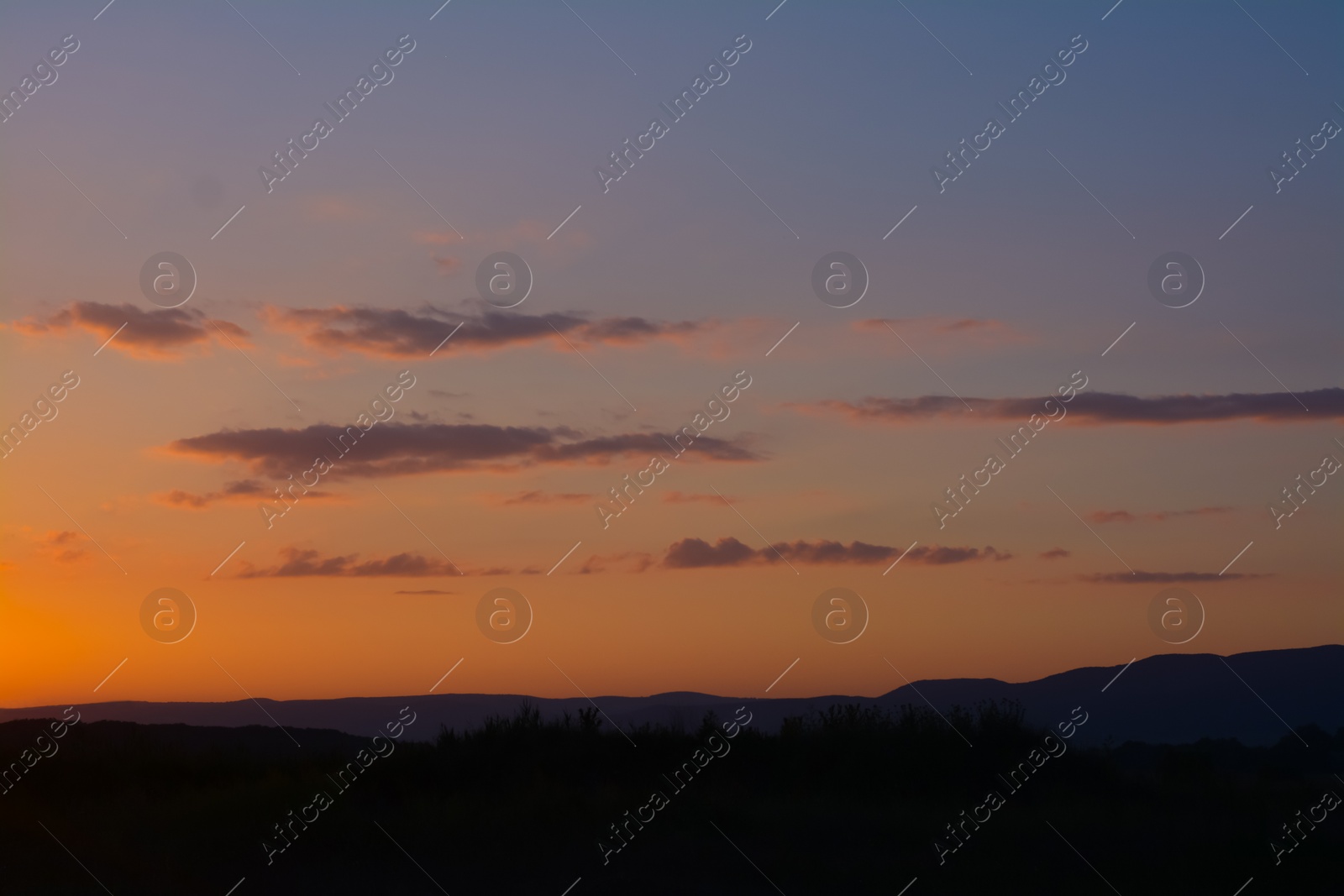 Photo of Picturesque view of beautiful field at sunset