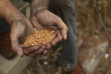 Photo of Poor homeless man with wheat grains outdoors, closeup