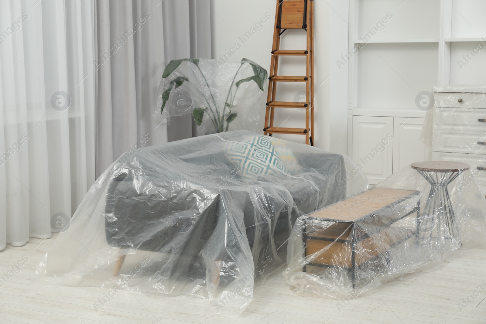 Photo of Modern furniture, houseplant covered with plastic film and step ladder at home