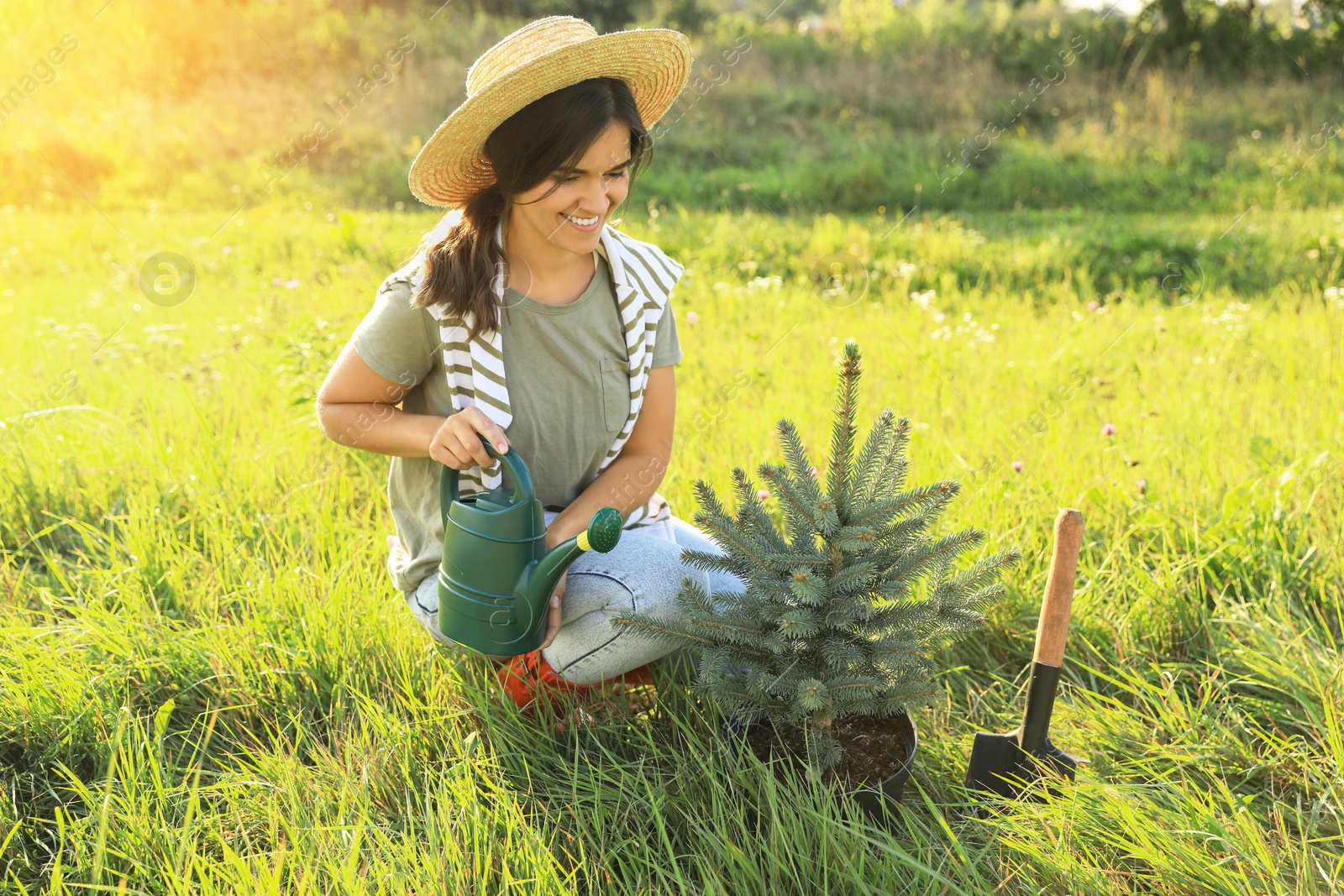 Photo of Woman with watering can near conifer tree in meadow on sunny day