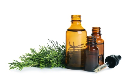 Photo of Bottles of essential oil, pipette and pine branch isolated on white