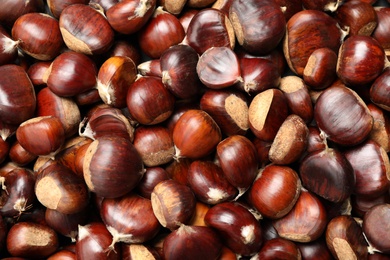 Top view of fresh edible sweet chestnuts as background, closeup