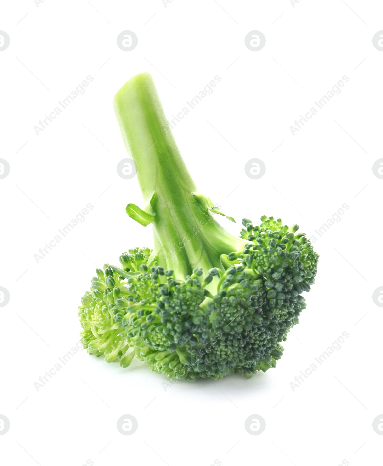 Photo of Fresh broccoli isolated on white. Edible green plant