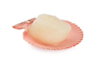 Photo of Fresh raw scallop in shell isolated on white