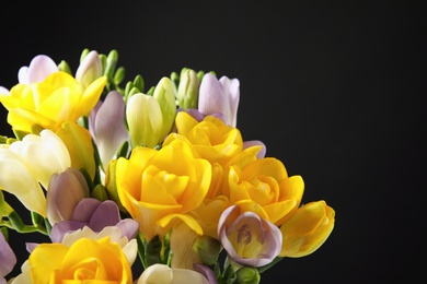 Bouquet of freesia flowers on black background. Space for text