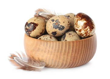 Photo of Bowl with speckled quail eggs and feathers isolated on white