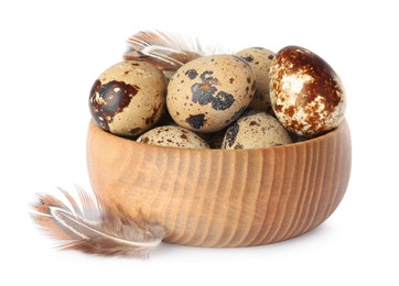 Bowl with speckled quail eggs and feathers isolated on white