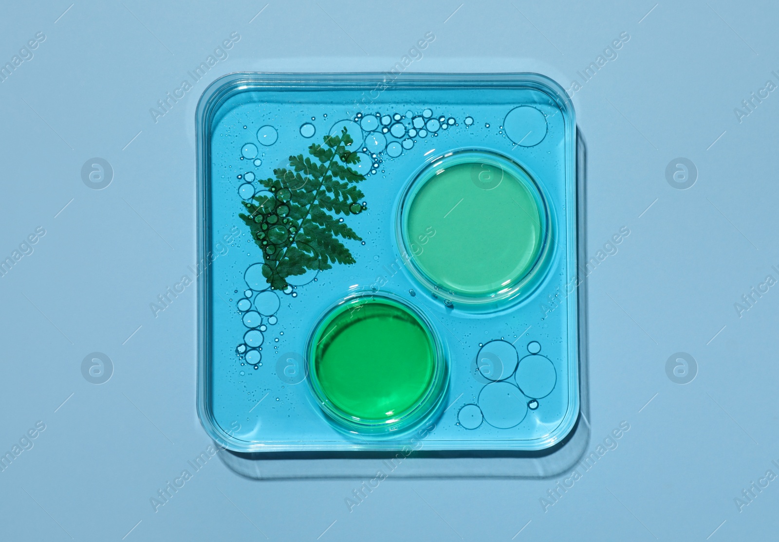 Photo of Laboratory glassware with samples on light blue background, top view. Making cosmetic product