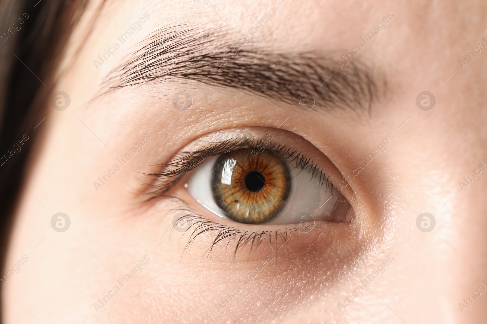 Photo of Macro photo of woman with beautiful eyes