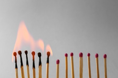Photo of Burning and whole matches on light grey background. Space for text