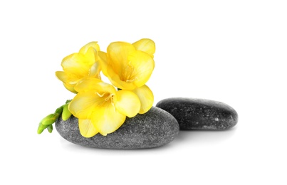 Spa stones and freesia flowers on white background