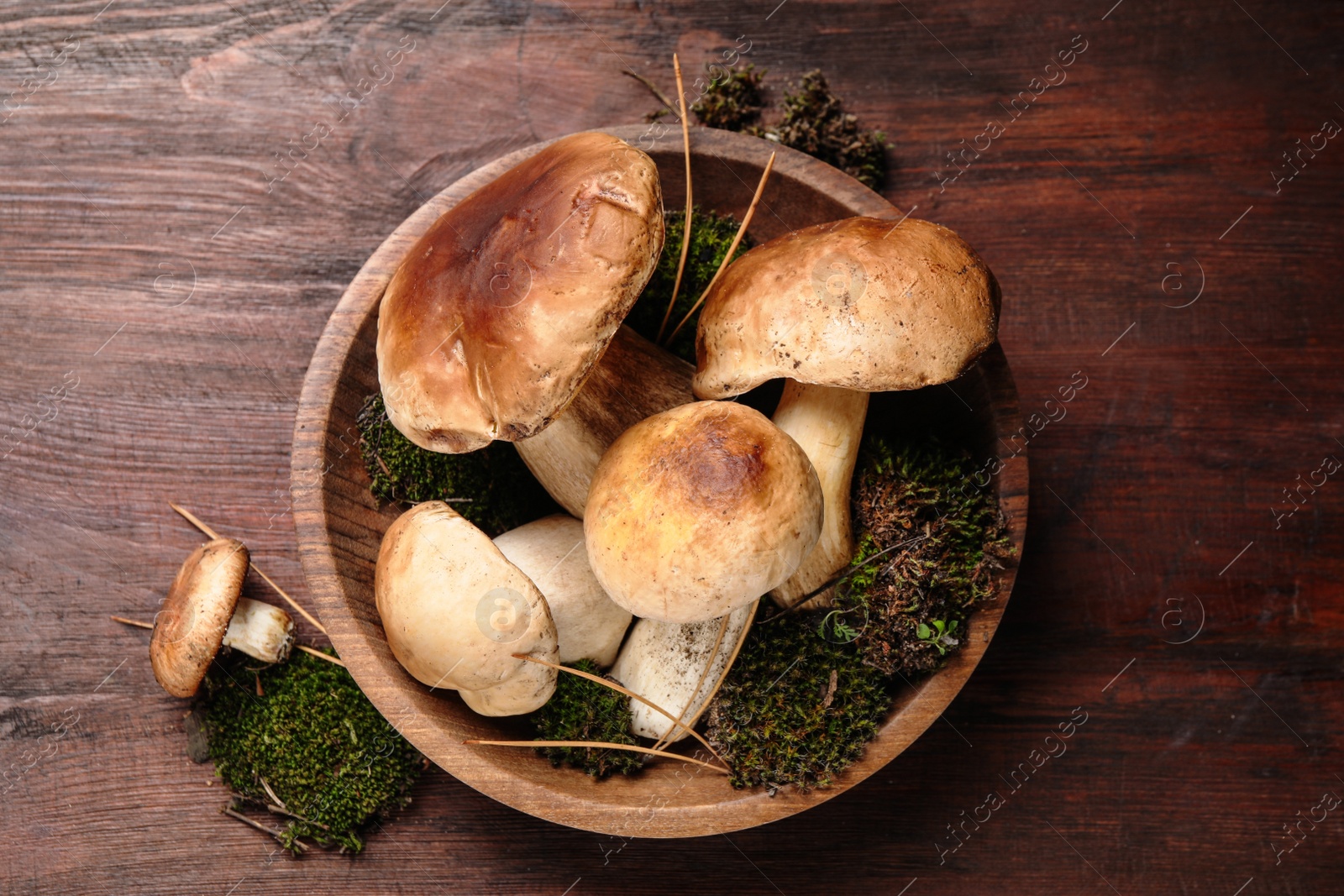 Photo of Fresh wild porcini mushrooms on wooden table, top view