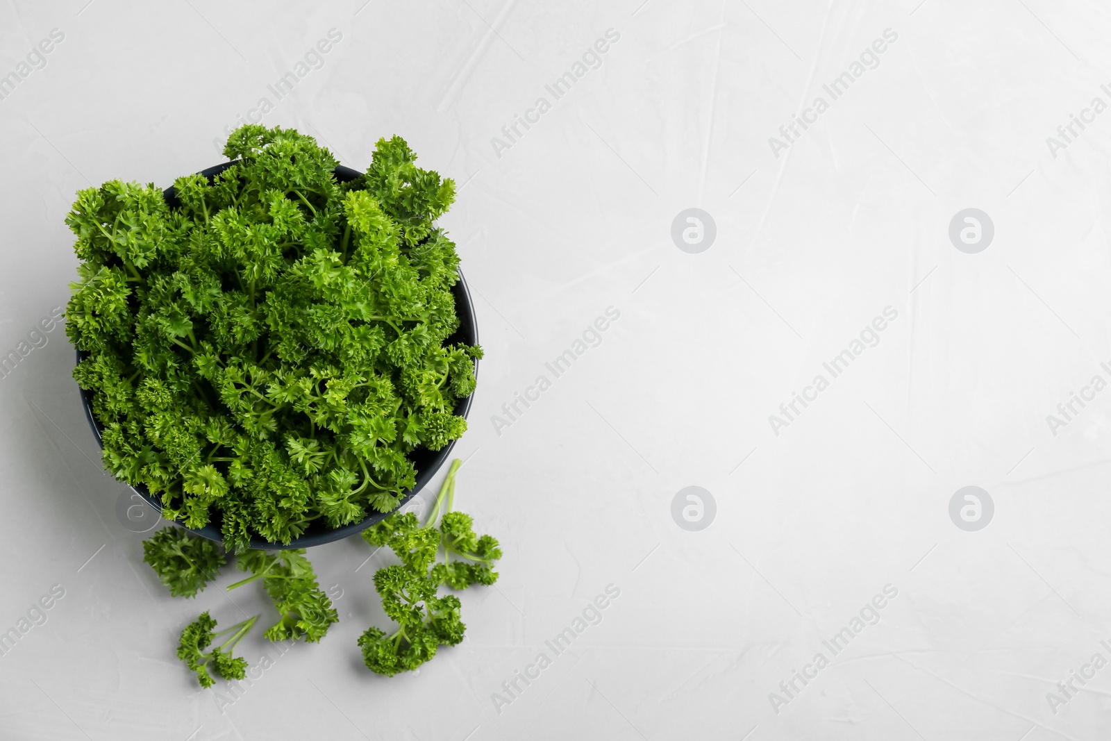 Photo of Fresh curly parsley in bowl on light grey table, flat lay. Space for text