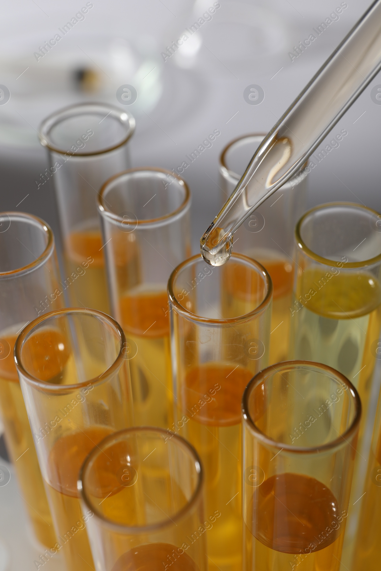 Photo of Dropping urine sample for analysis into tube, closeup