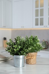 Photo of Aromatic potted herbs on white marble table in kitchen, space for text