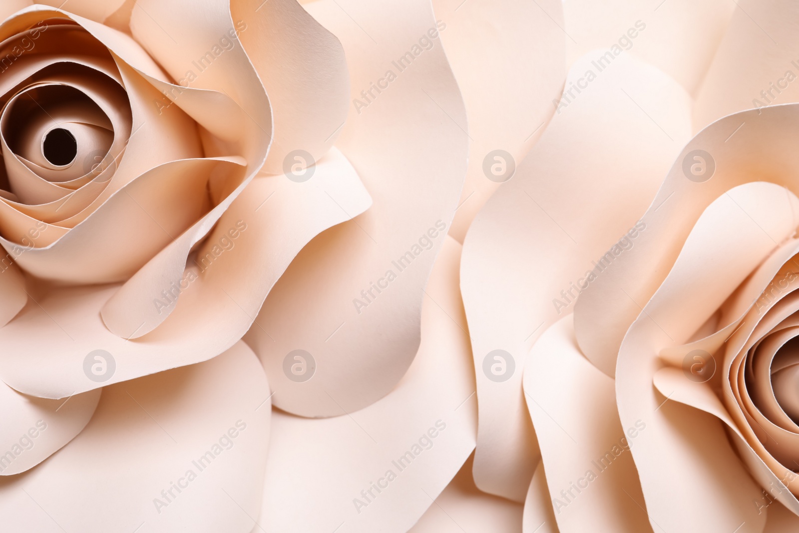 Photo of Beautiful beige flowers made of paper as background, top view