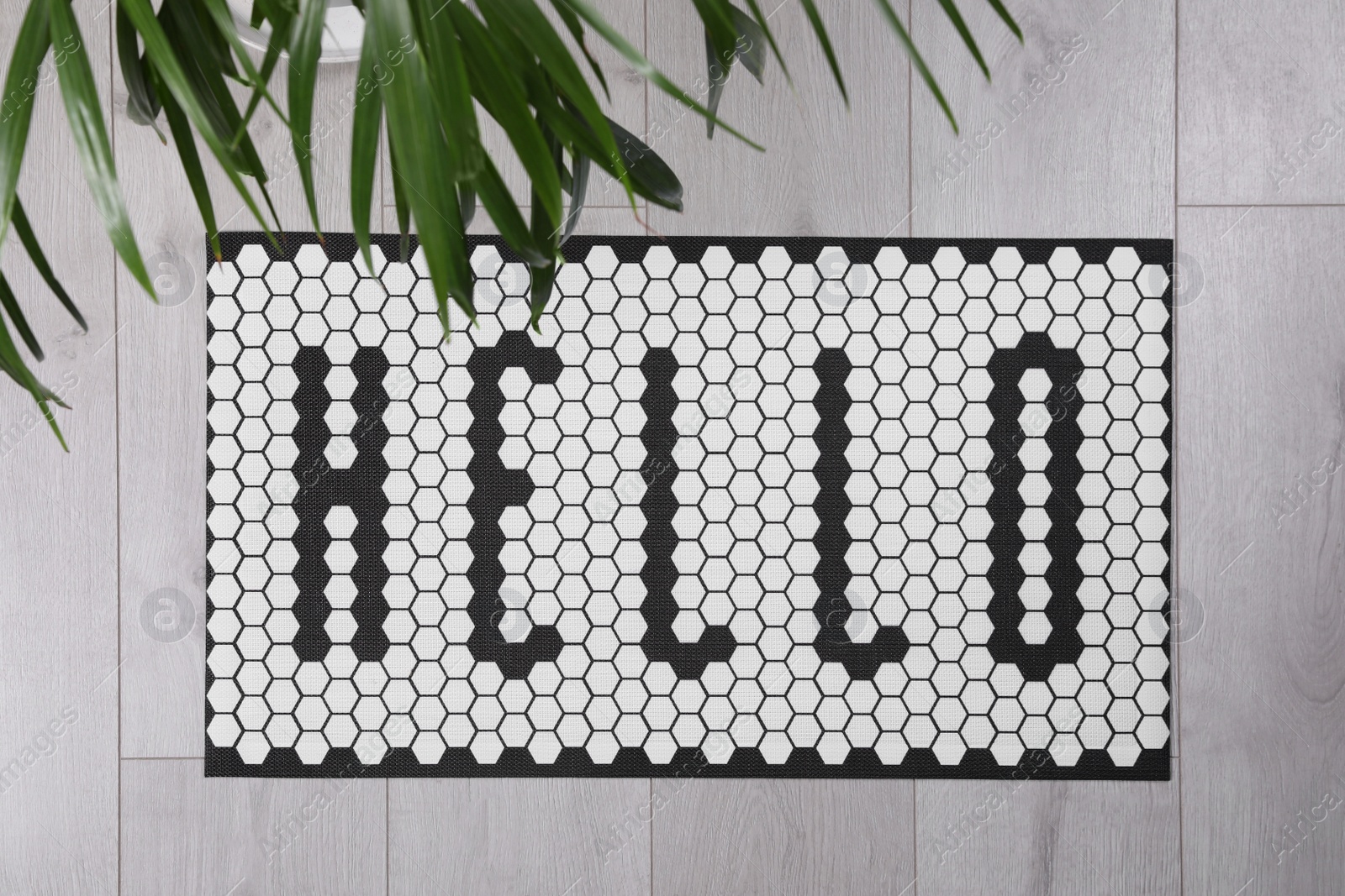 Photo of Stylish door mat with word Hello and houseplant on floor, flat lay