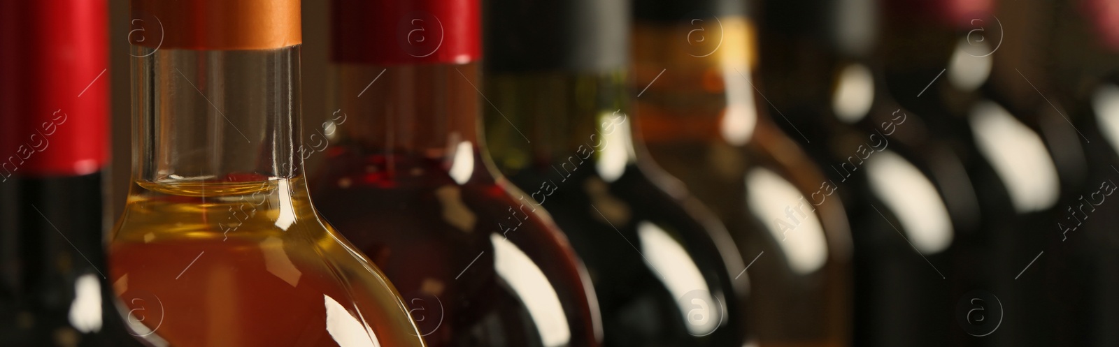 Image of Bottles of different wines, closeup. Banner design