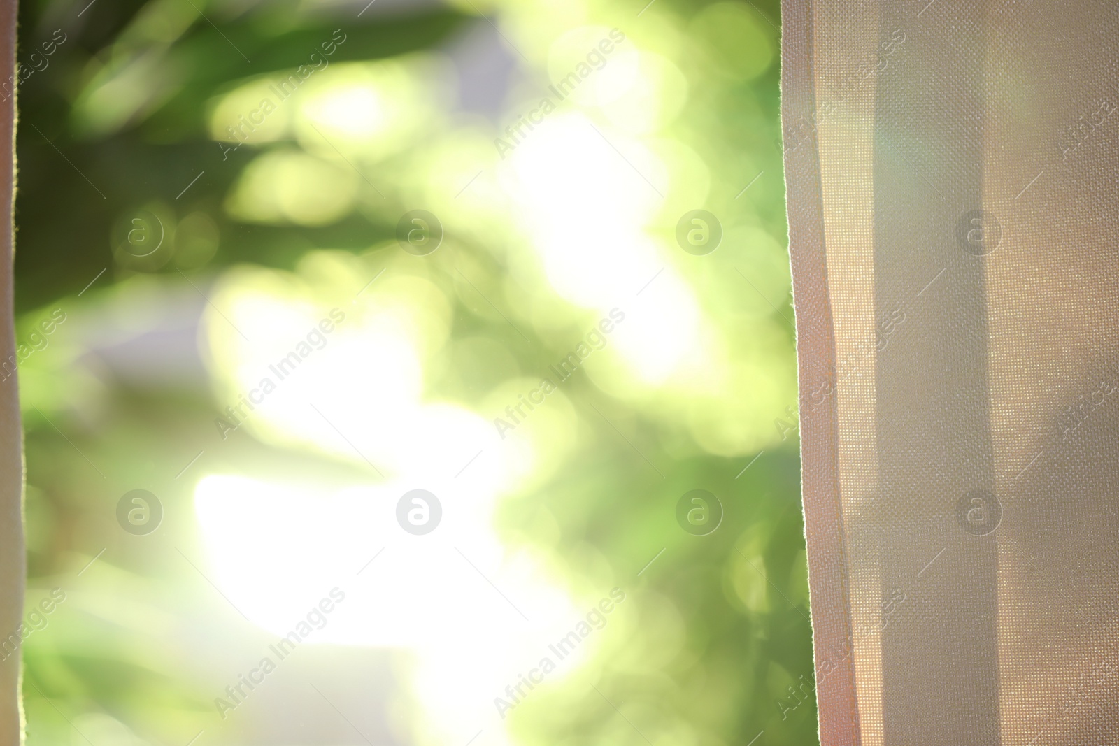 Photo of Beautiful view through window on garden in morning