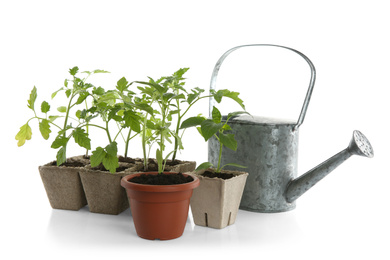 Photo of Different seedlings and watering can isolated on white