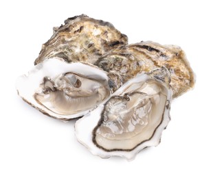 Fresh raw closed and open oysters on white background