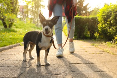 Photo of Woman walking her cute dog in park, closeup