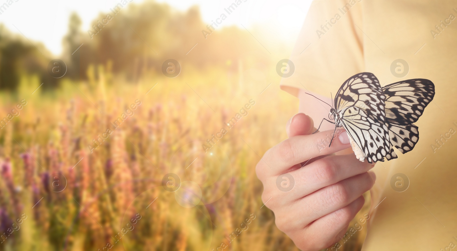 Image of Woman holding beautiful rice paper butterfly in sunlit field, closeup