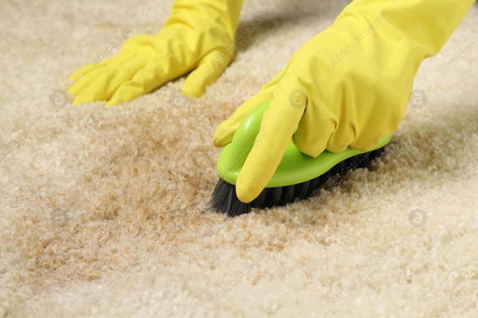 Photo of Woman removing stain from beige carpet, closeup