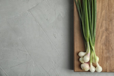 Fresh green onion on wooden board, top view