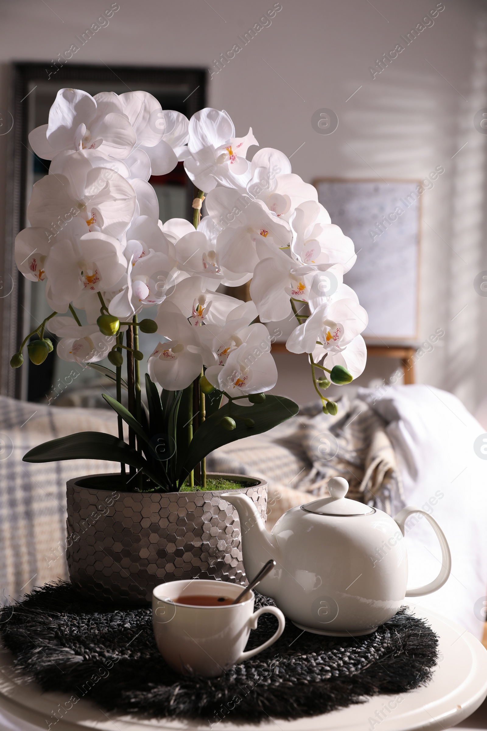 Photo of Beautiful white orchids and tea set on table in room