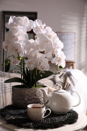 Beautiful white orchids and tea set on table in room