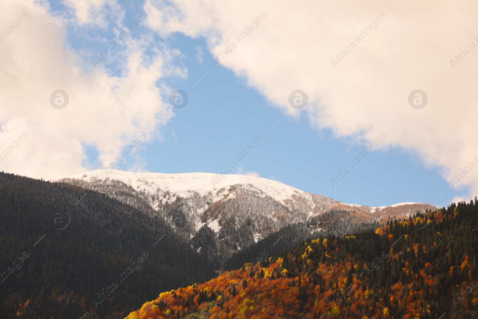 Photo of Picturesque landscape of high mountains with forest under blue cloudy sky