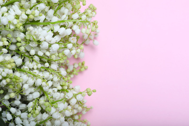 Beautiful lily of the valley flowers on pink background, flat lay. Space for text