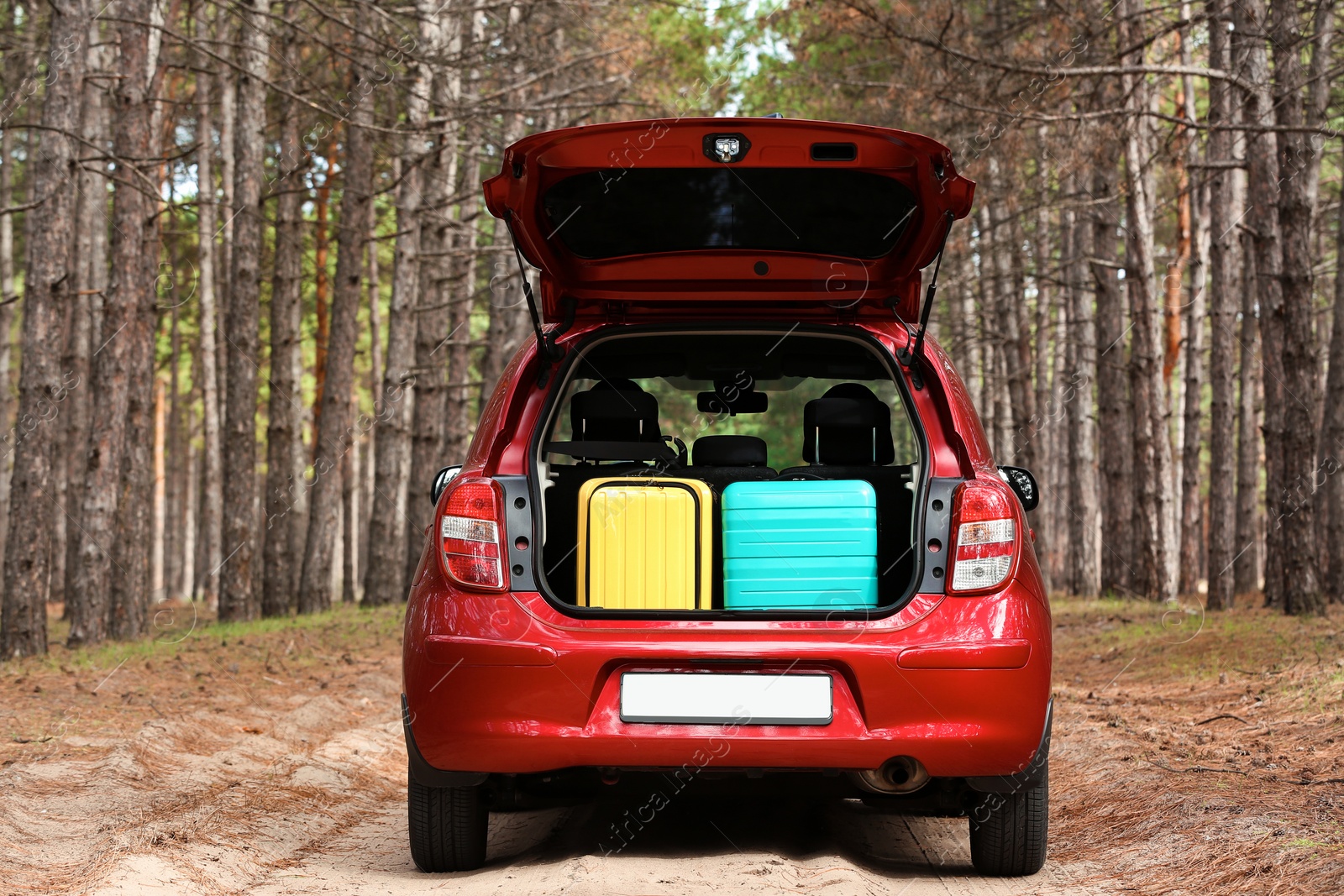 Photo of Open car trunk loaded with suitcases in forest