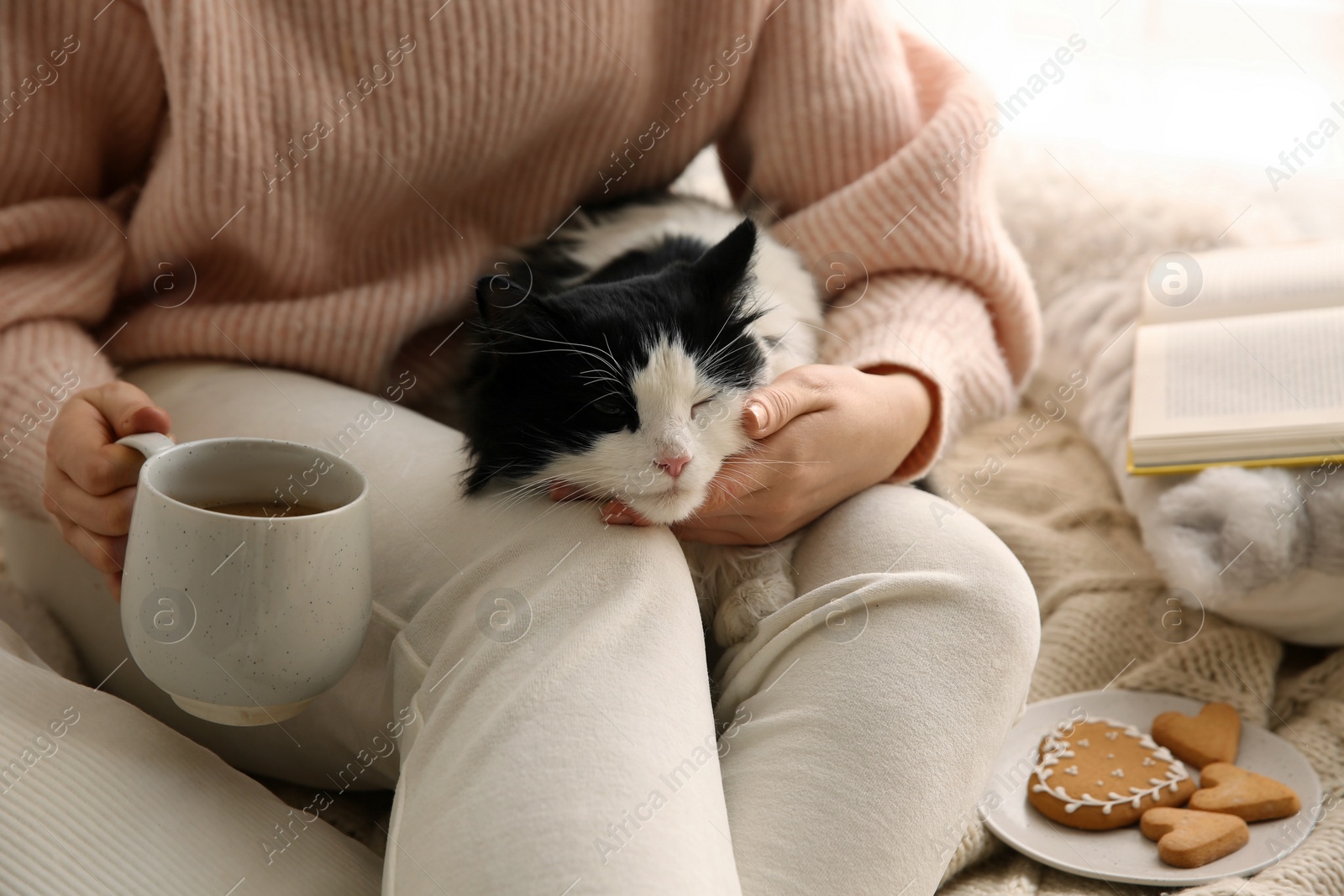 Photo of Woman holding cup of hot drink and stroking adorable cat on bed, closeup