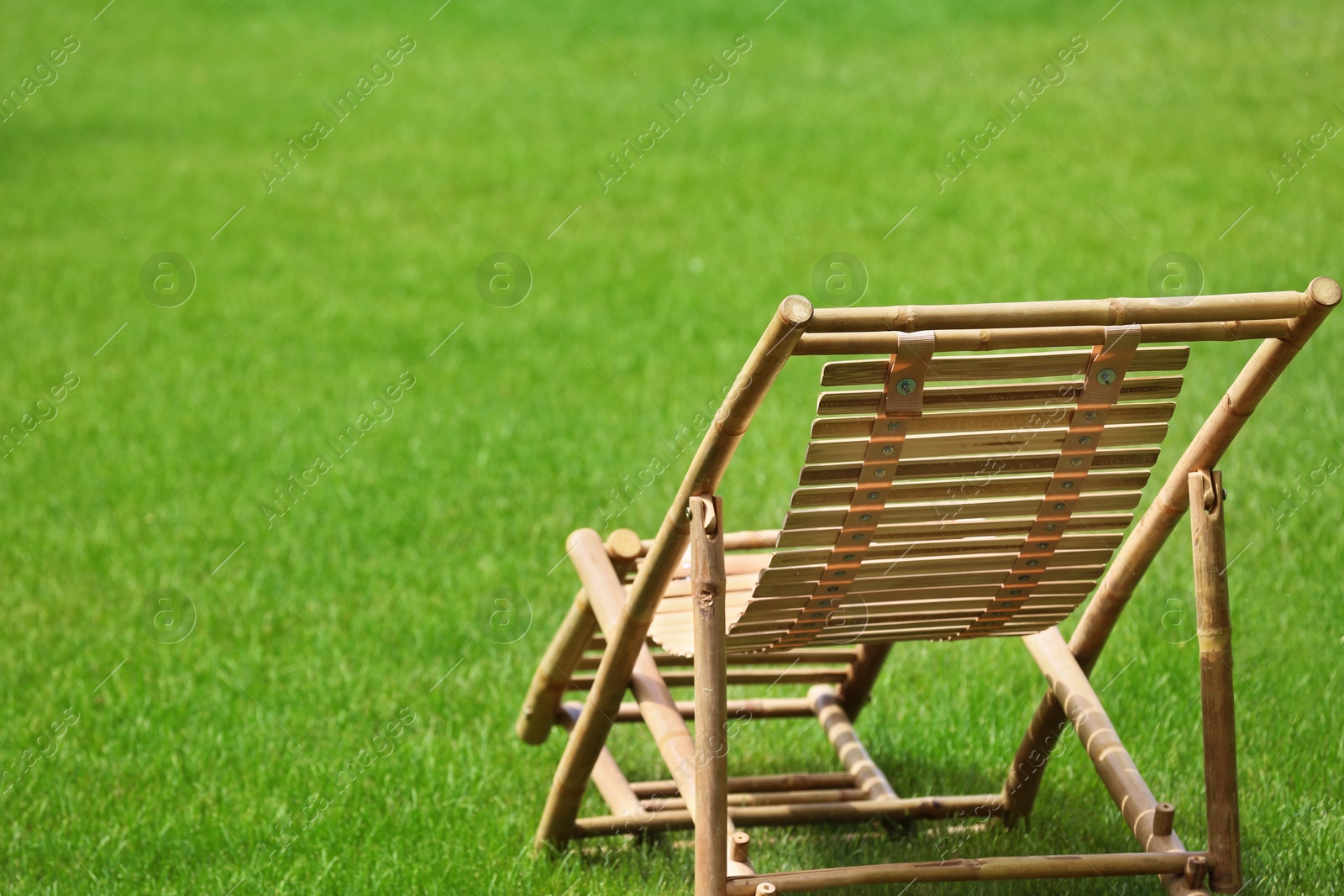 Photo of Wooden deck chair in beautiful garden on sunny day. Space for text