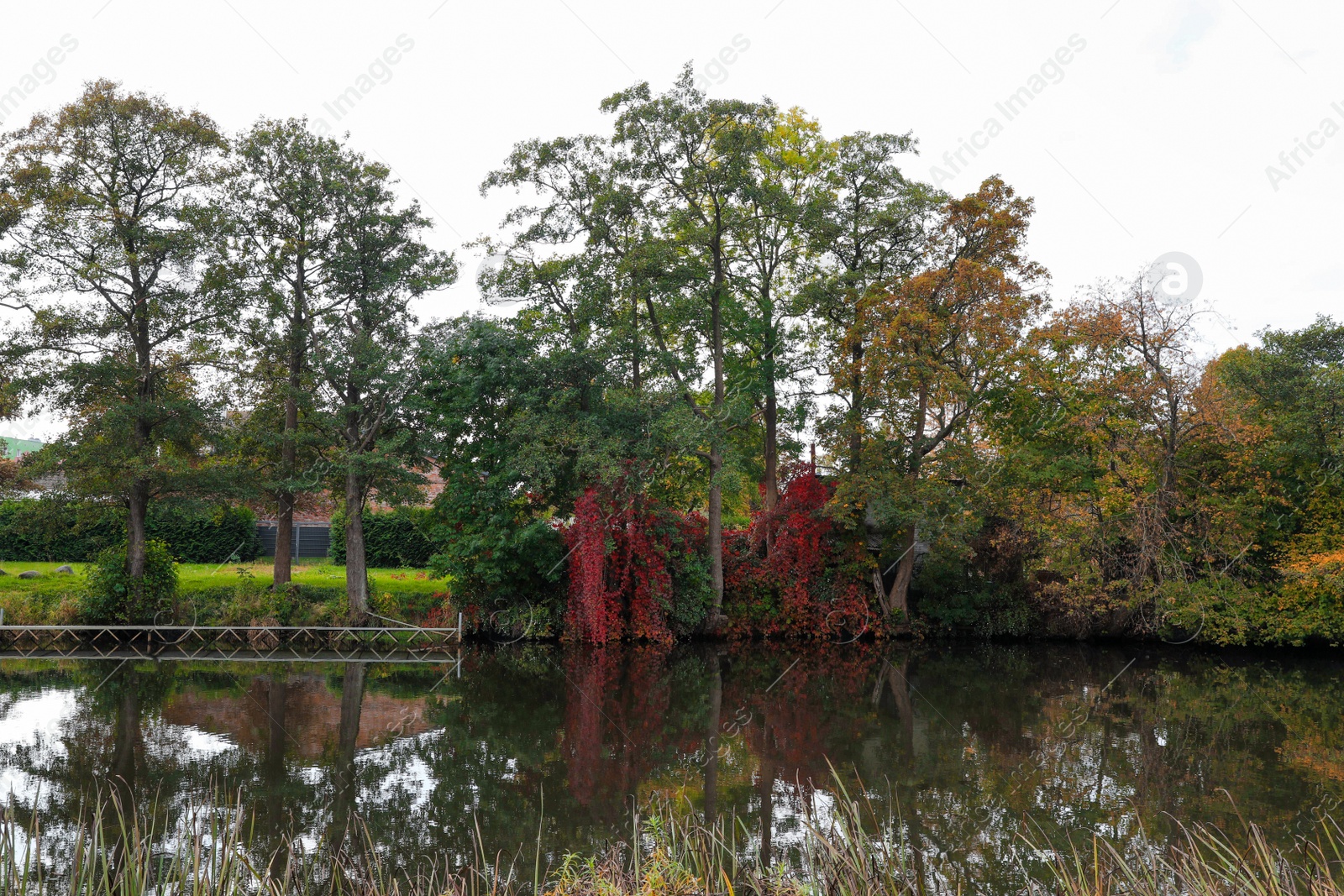 Photo of Picturesque view of river and trees in beautiful park. Autumn season