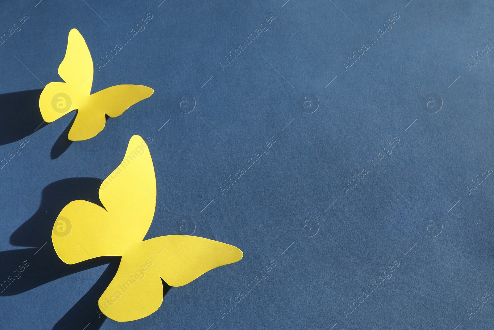 Photo of Yellow paper butterflies on dark blue background, top view. Space for text