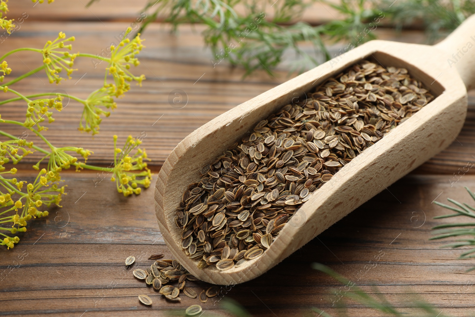 Photo of Scoop of dry seeds and fresh dill on wooden table, closeup